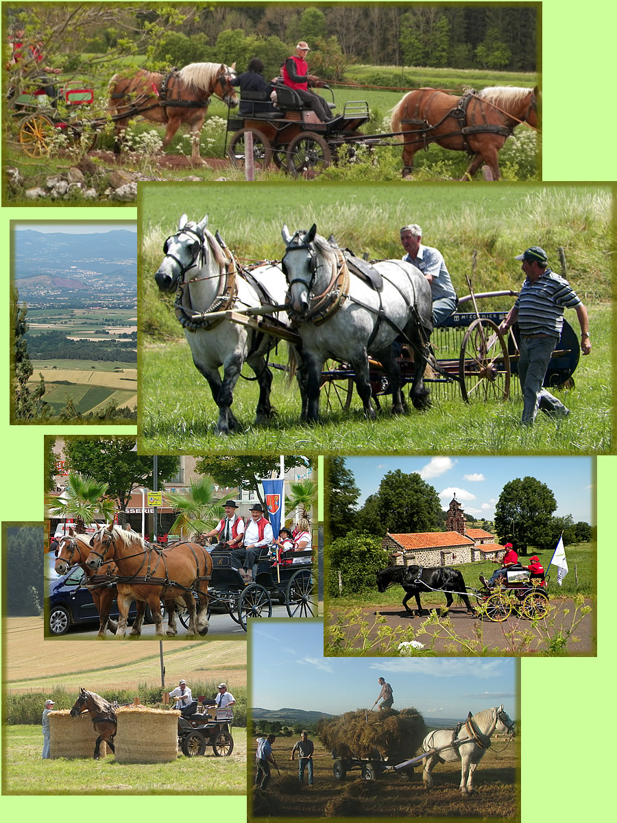 attelage43 en Haute-loire région Auvergne