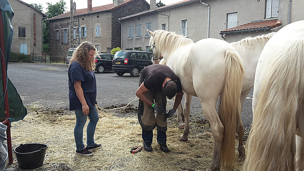marechal ferrand un certain talent  