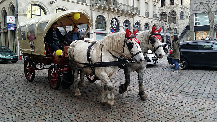 Calèche du PERE NOEL